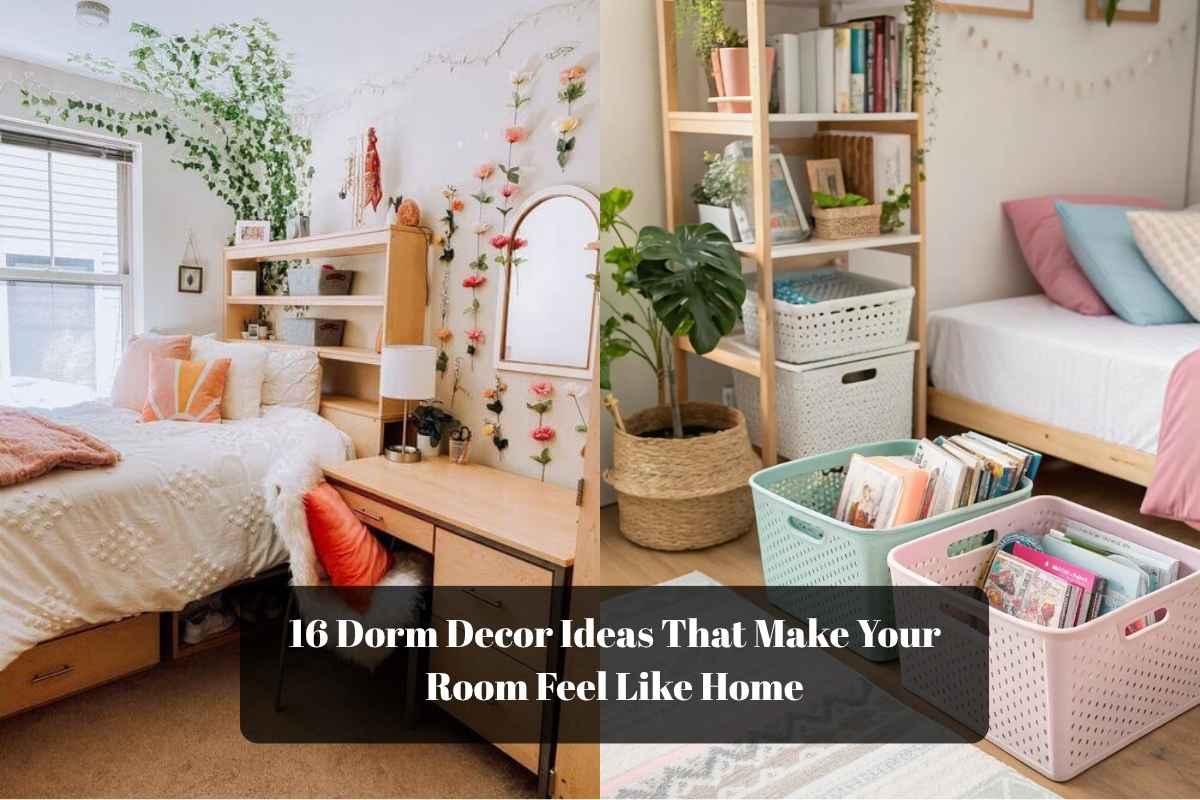 16 Dorm Decor Ideas That Make Your Room Feel Like Home