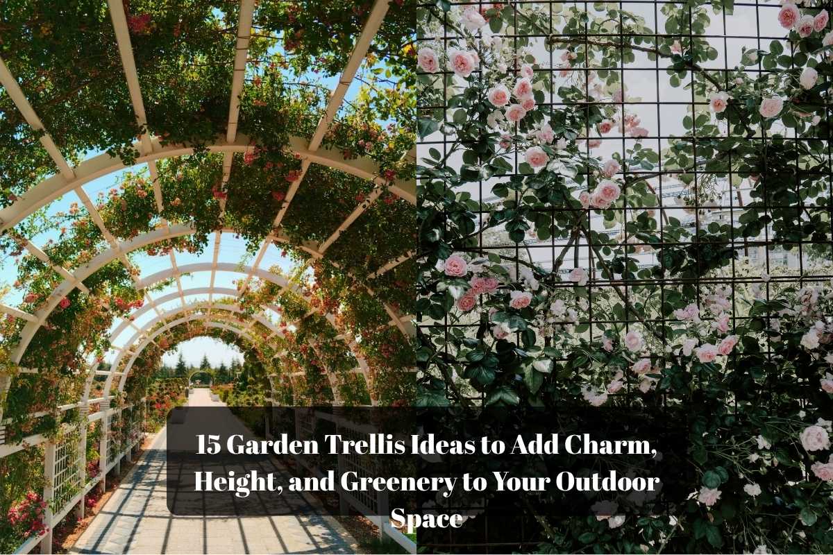 garden trellis ideas