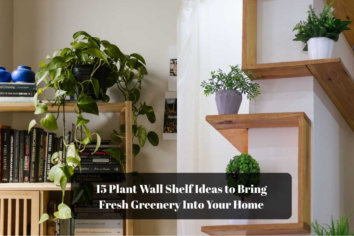 plant wall shelf ideas