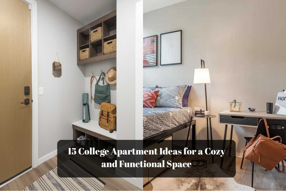 15 College Apartment Ideas for a Cozy and Functional Space