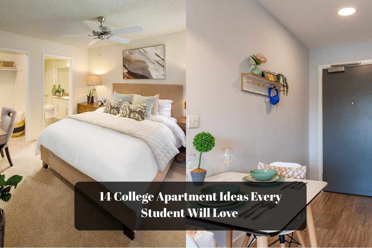 14 College Apartment Ideas Every Student Will Love 