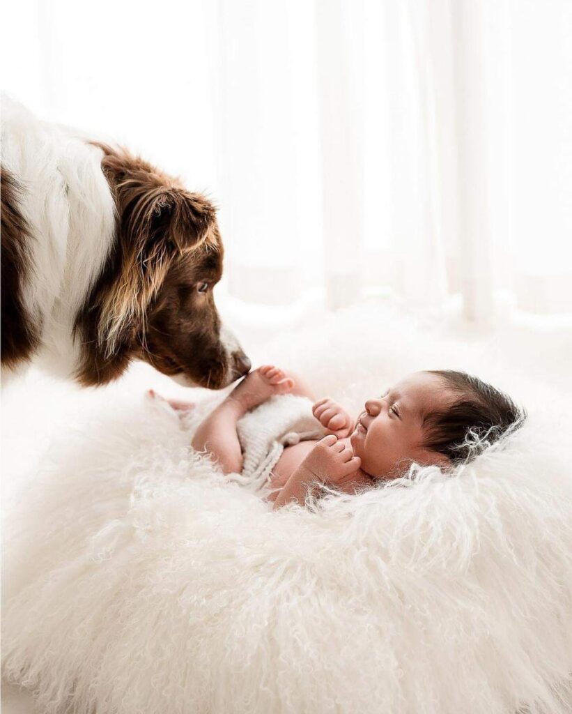 Newborn Photography Poses